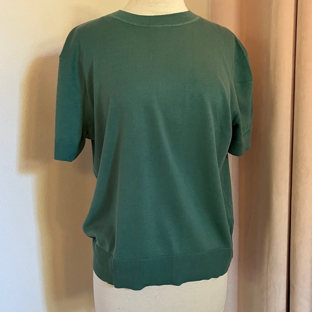 Banana Republic Sage Green T-shirt Sweater